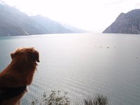 Picui (3)